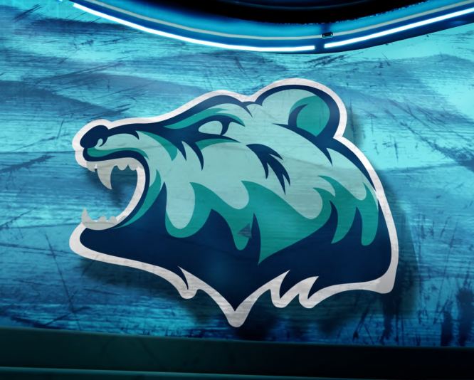Hybrid 3D bear logo graphics from the Hylight deck